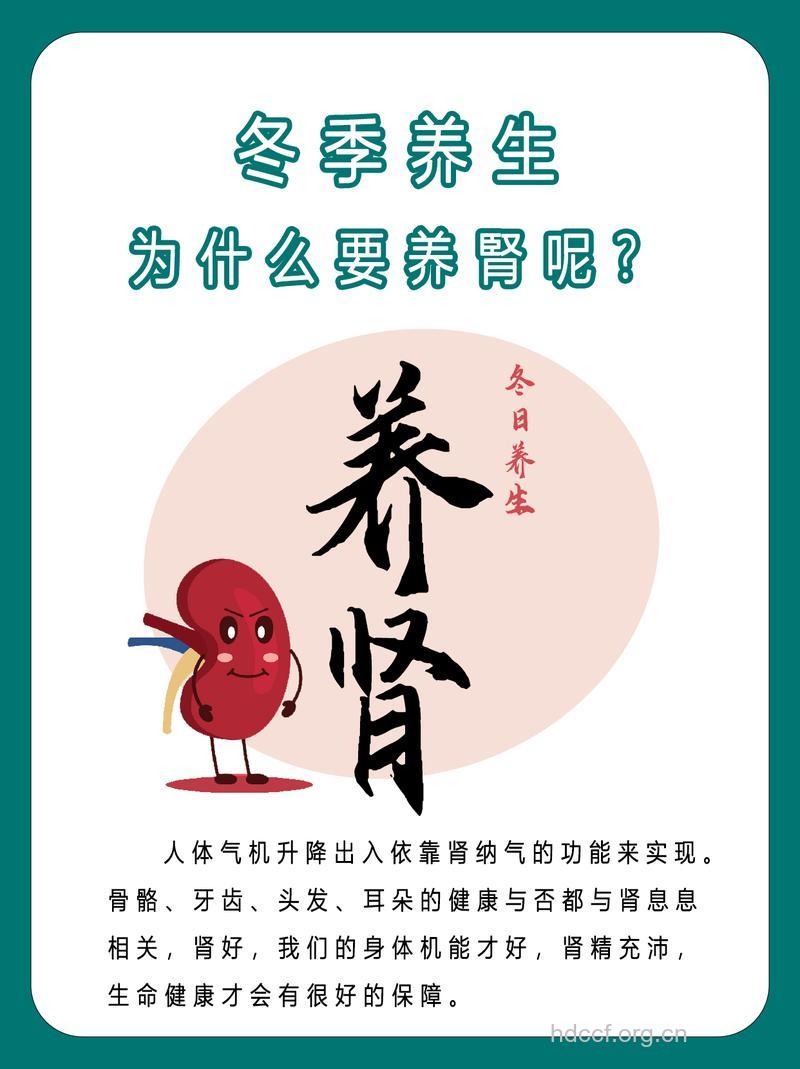 肾不好全身都遭殃 赶紧动手做好冬季养肾工作