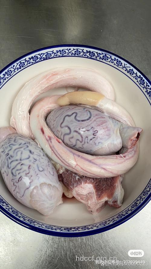吃动物内脏壮阳 精子伤不起