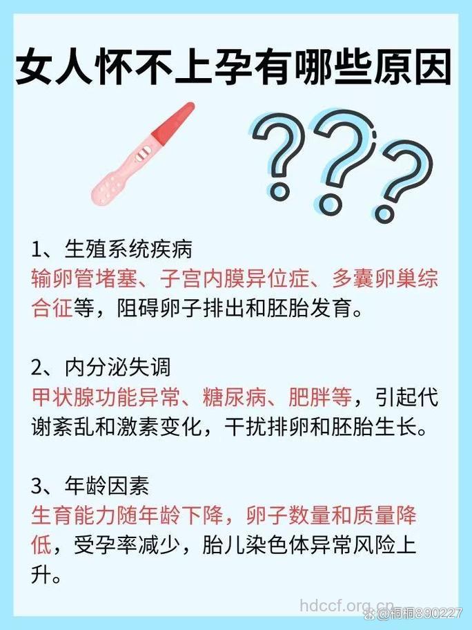 影响女性受孕的4个因素