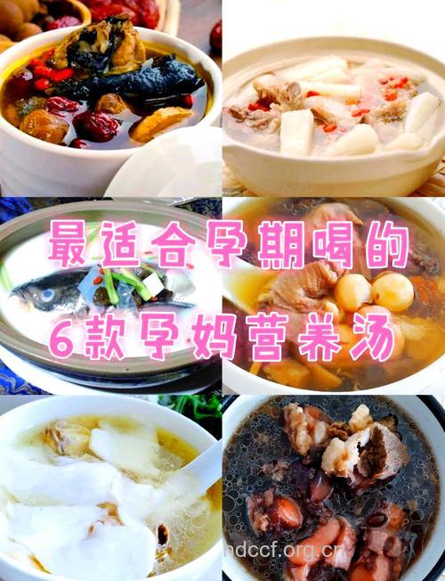 提高女性孕力吃什么调养身体