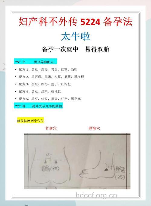 想要好孕怎么做 中医教你这样调理