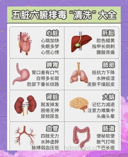 怎么给五脏六腑排毒呢 老中医来教教你