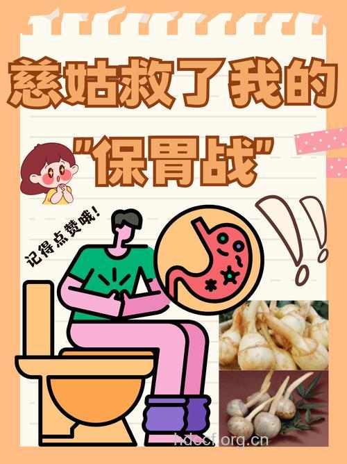 年末白领打好“保胃战”