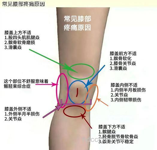 膝关节炎的主要症状及病变