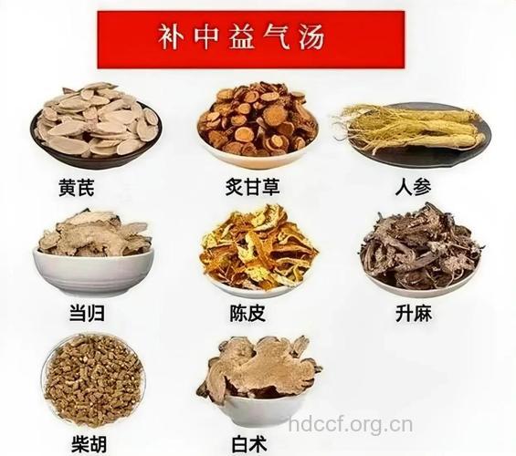 中气不足吃什么中药 这篇文章告诉你