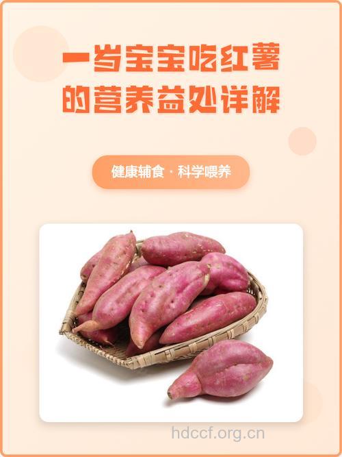 宝宝吃红薯好处 可促进智力发展