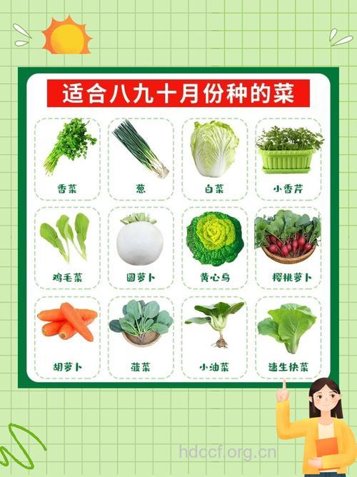 秋季进补吃什么 这5种素菜就很合适