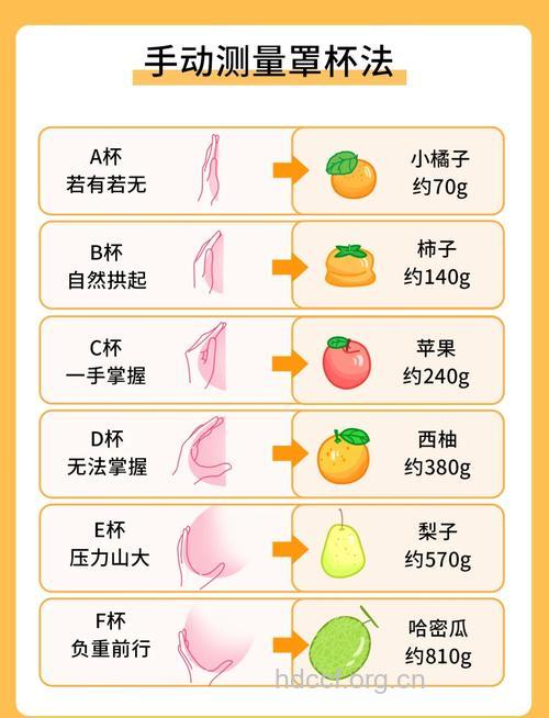 胸部大小是否决定生育能力