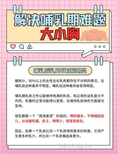 女性胸部的大小是否影响生育