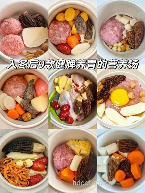 冬至要进补 这样吃能养胃