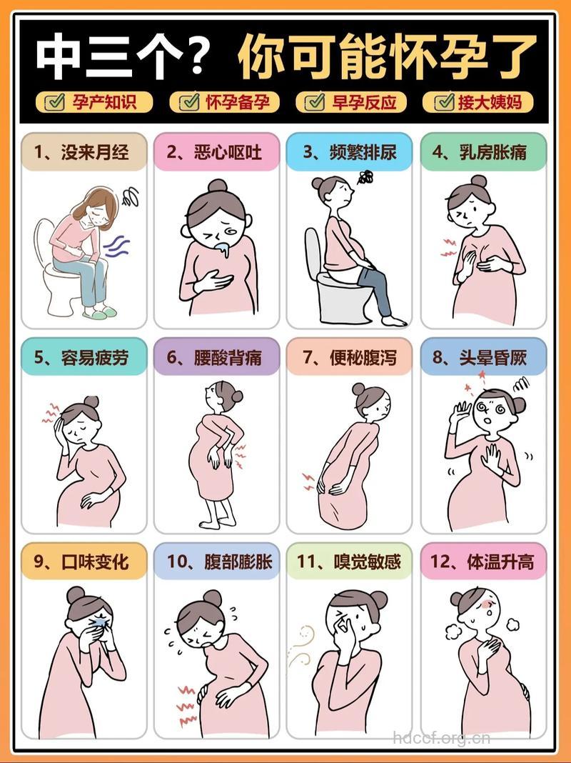 女性必知 早期怀孕症状与饮食