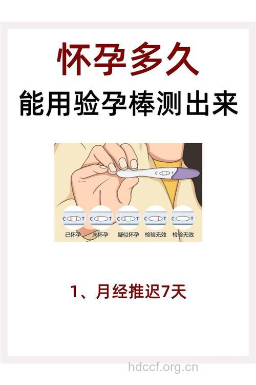 怀孕后多久可以测出来