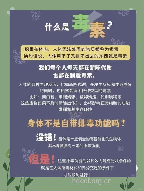 身体为何要排毒 对身体有4大好处