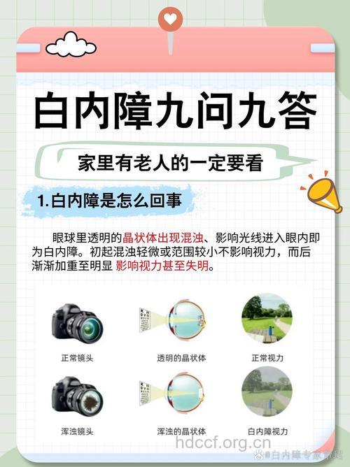 什么原因导致老年人发生白内障