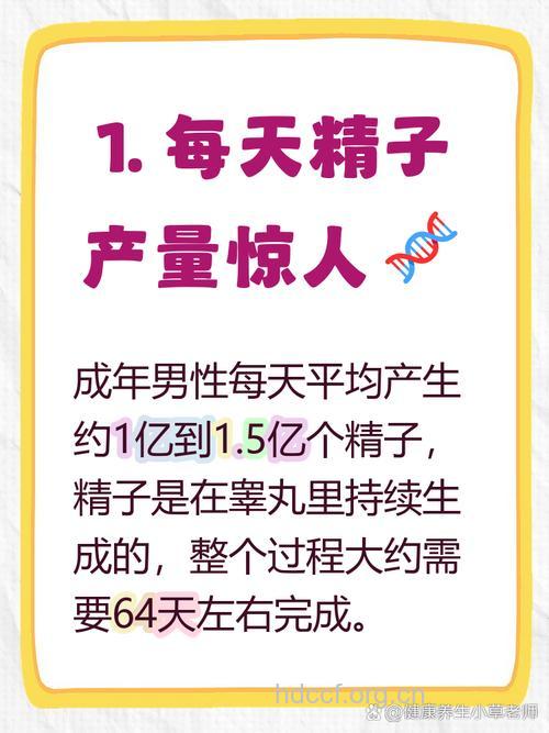 谈孕说育之男人一生有多少精子