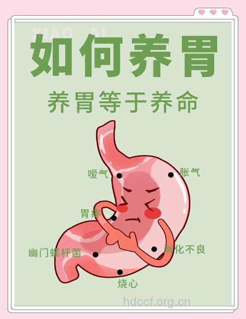 重“五养”养好你的胃