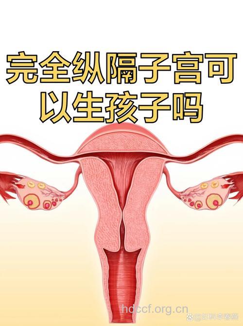 不完全纵膈子宫能不能怀孩子