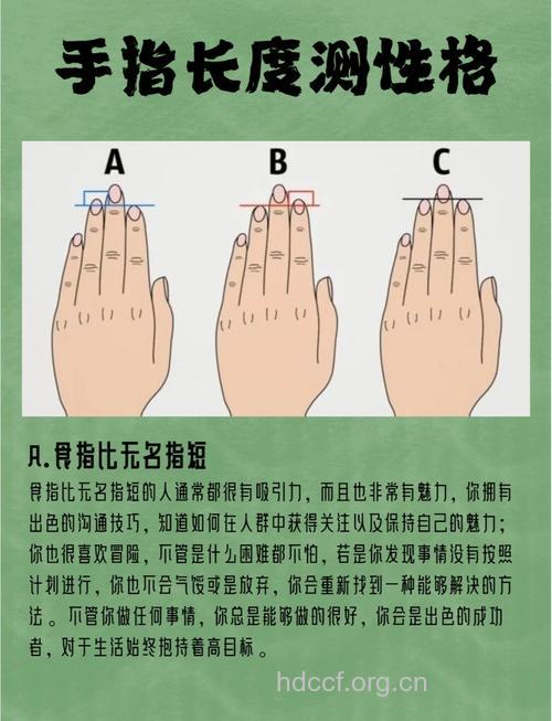 手指的长短能分析出生育能力