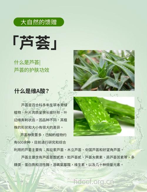 芦荟健胃解毒抗衰老