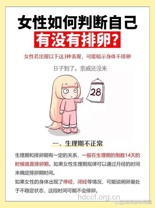 如何了解自己有无排卵?