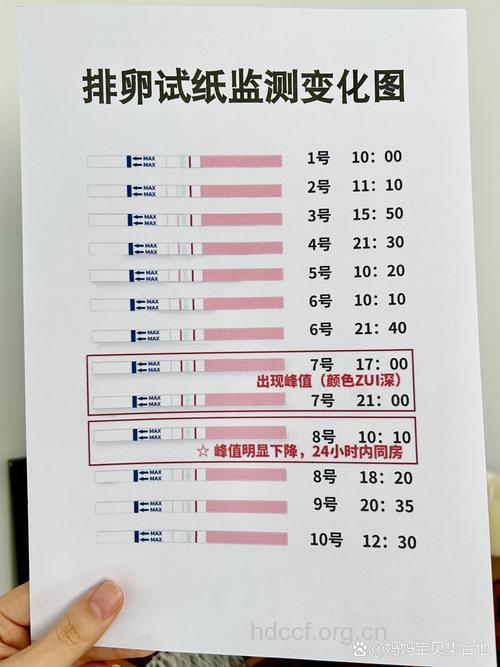 计划“造人”,借助于“排卵试纸”