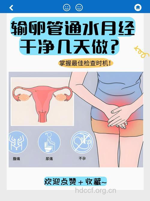 反复通水小心破坏输卵管功能