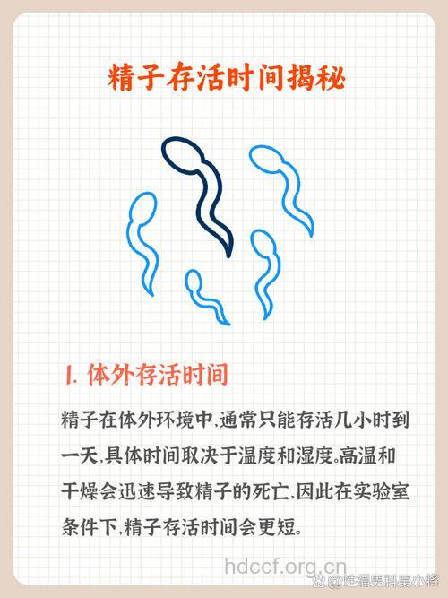 男人的精子被女性杀了！