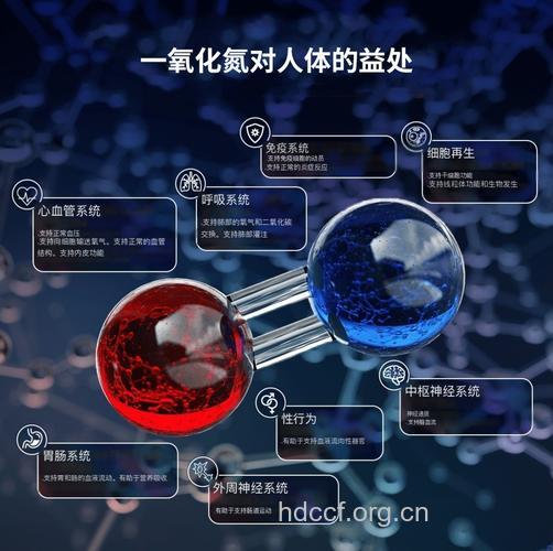 一氧化氮有助于女性生育能力
