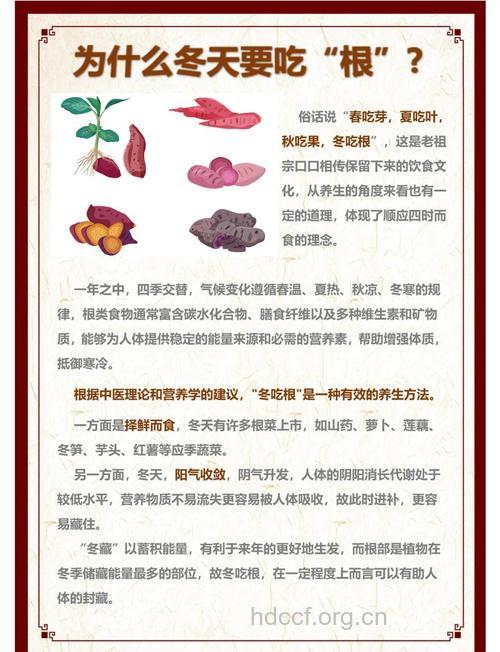 五种根菜的养生功效