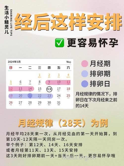 想要生宝宝 勿特别在意排卵期