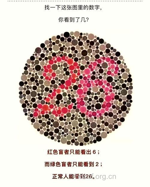 为什么有的人无法分辨颜色?
