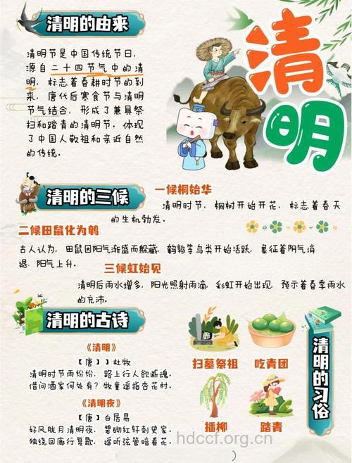 清明小长假 做好这11件事