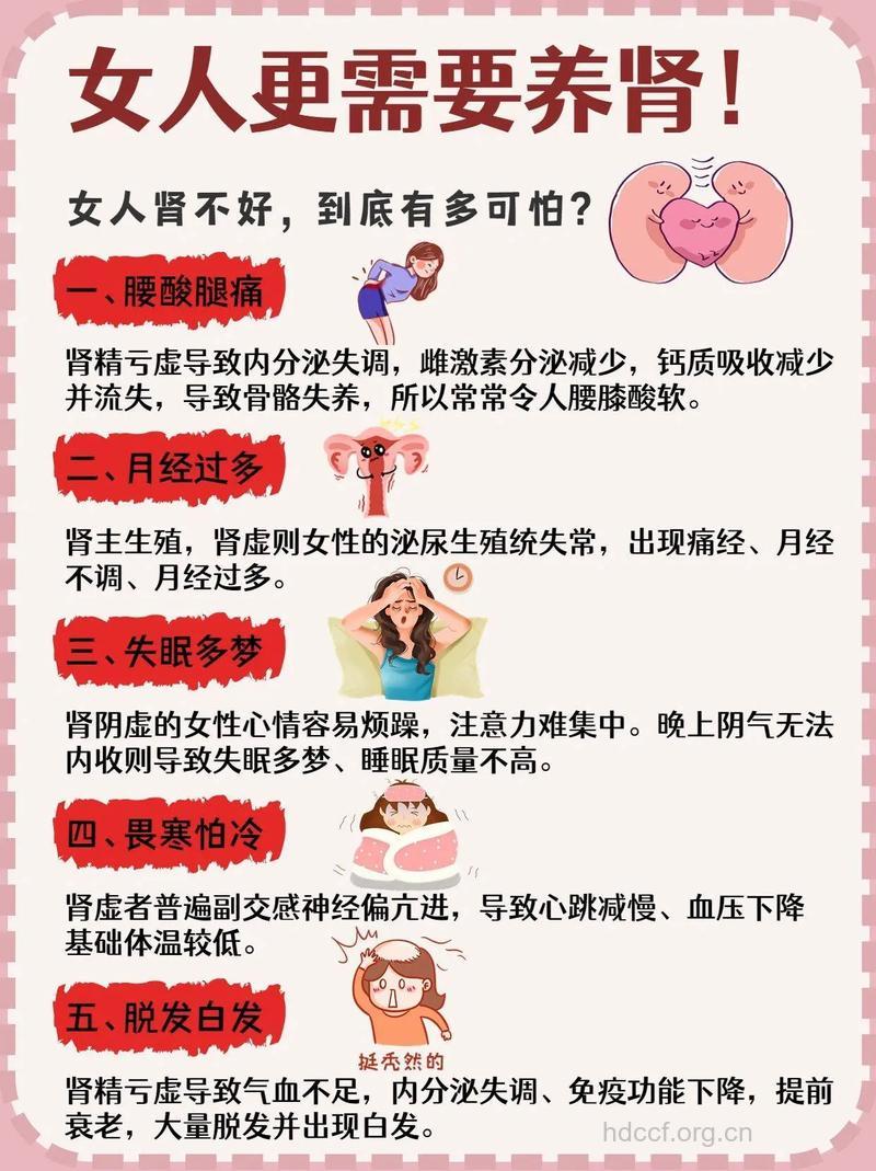 只有男人需要补肾？女人更需要