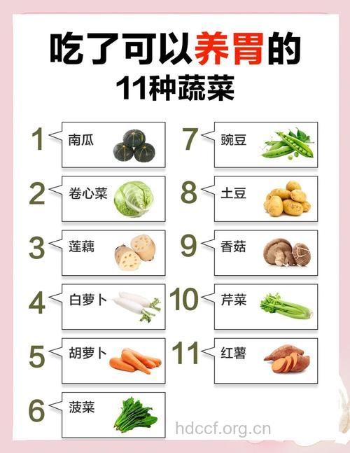 七种养胃蔬菜大家来看看