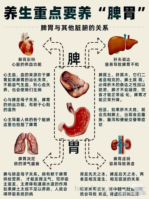 想太多会伤到脾 盘点容易患脾胃病的人群