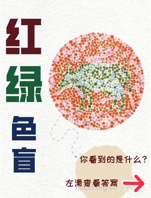 色觉障碍应该分几种