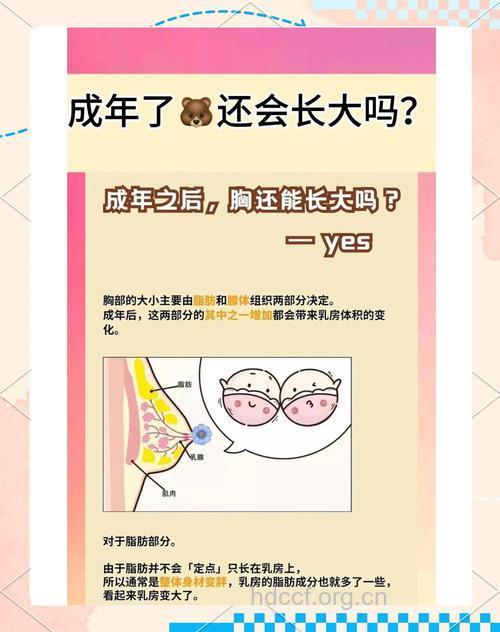 女性乳房与生育有什么关系吗?
