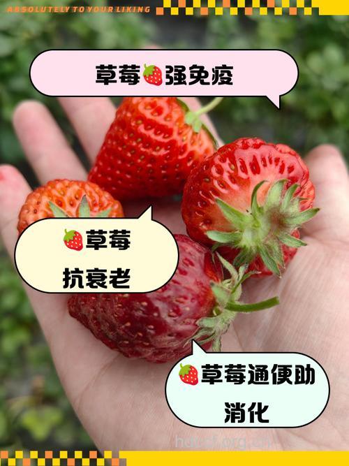 春天不止有草莓 这些水果也值得吃