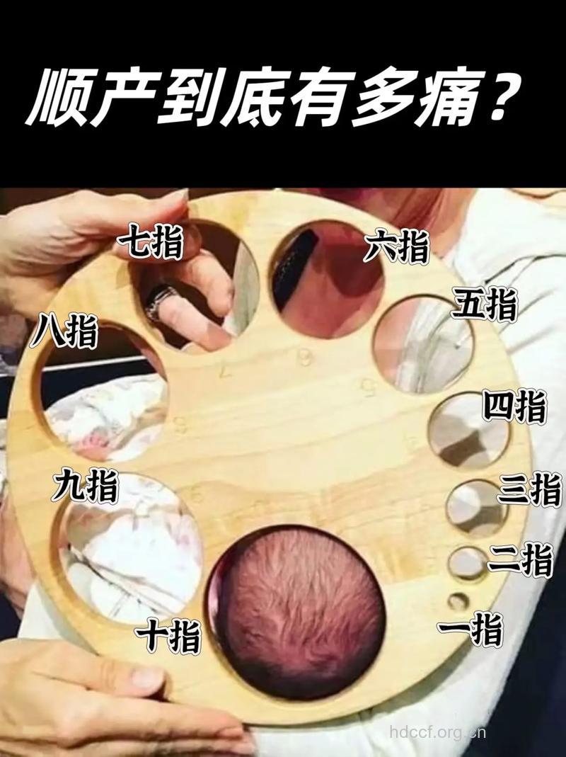 从手指看出你的生育能力