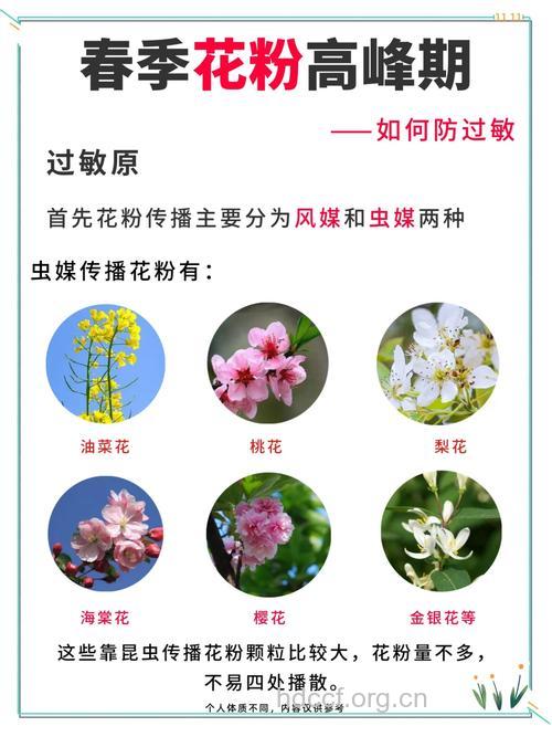 春季外出容易花粉过敏 6招防治过敏