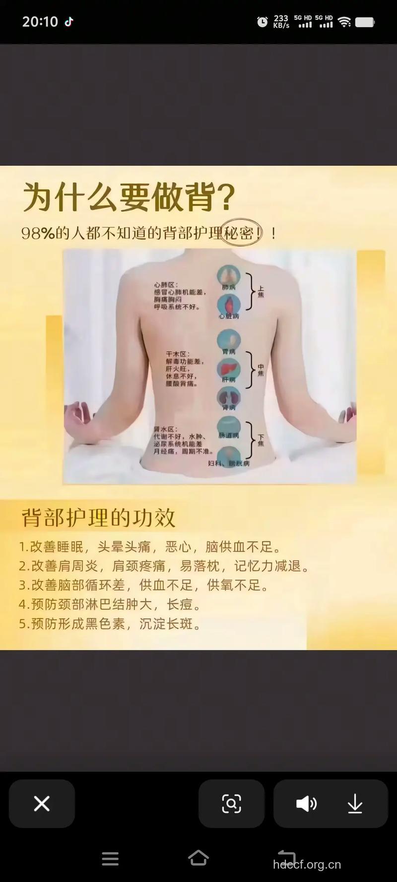 春季也要养背部 教你5个方法