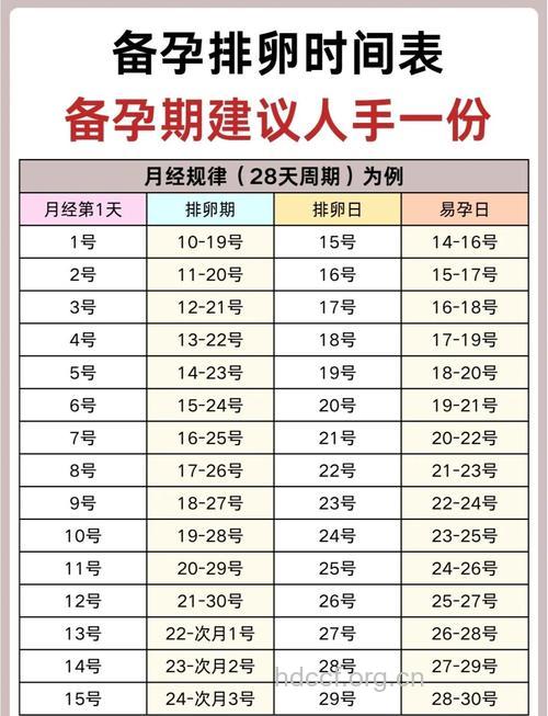 一天之中哪个时间受孕几率大
