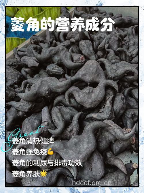 菱角有健脾益胃的功效