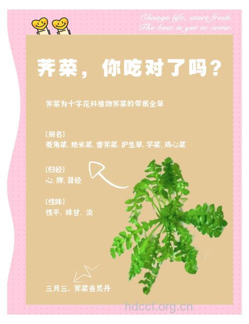 吃野菜要注意的几个原则