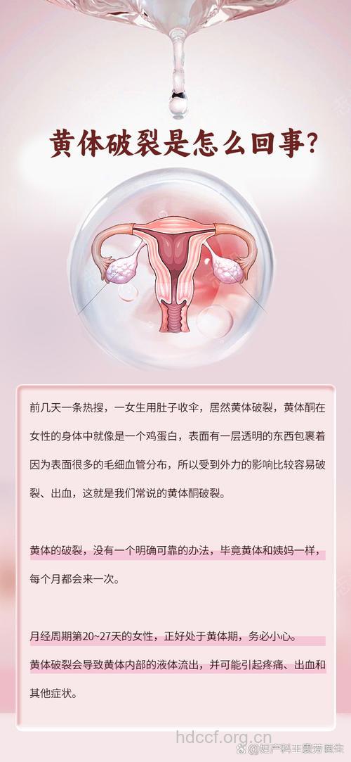 黄体破裂的症状有哪些