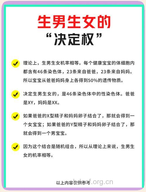 决定孕妇生男生女的主要因素