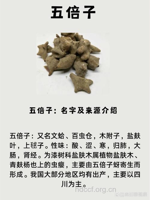五倍子治倒睫偏方