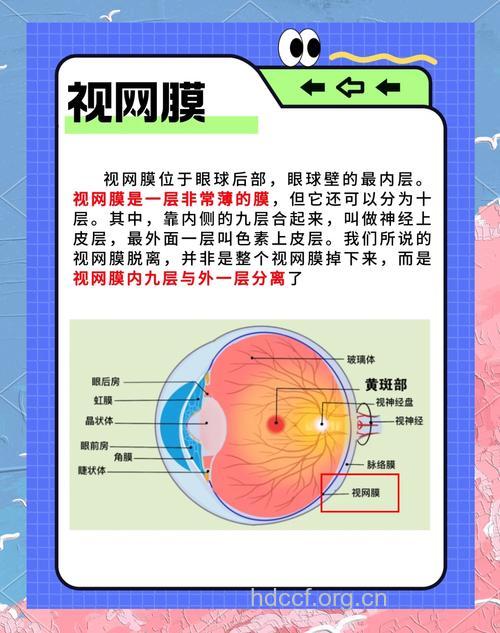 视网膜脱落主要症状介绍