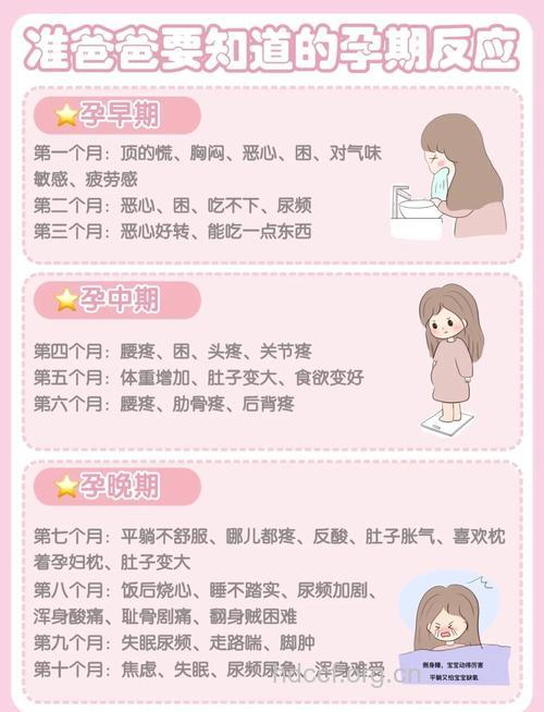 女人怀孕前要做好哪些心理准备
