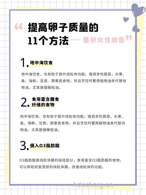 怎么才能提高卵子的质量